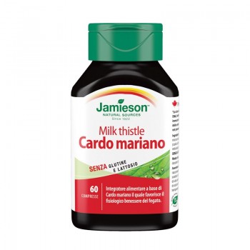 Cardo Mariano – Milk Thistle